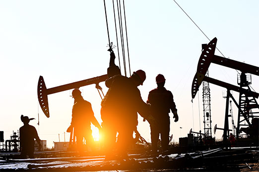 Fundação da Rede Petrogas
